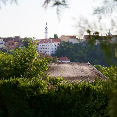 Madárfészek Nature&tranquility In The * Veszprém